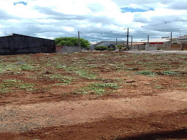#137 - Terreno para Venda em Arapongas - PR
