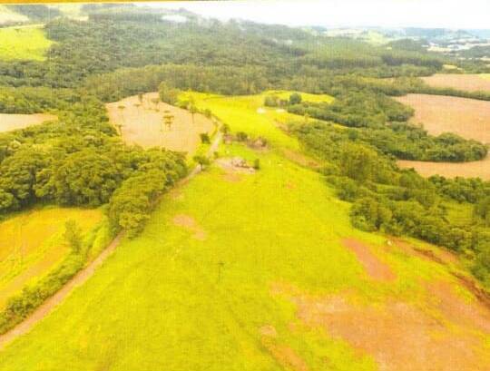 #401 - Sítio para Venda em Faxinal - PR