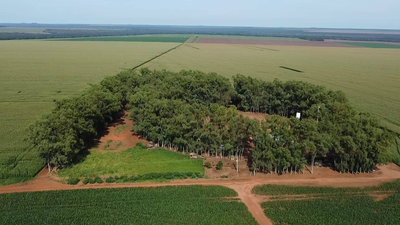 #542 - Fazenda para Venda em Diamantino - MT