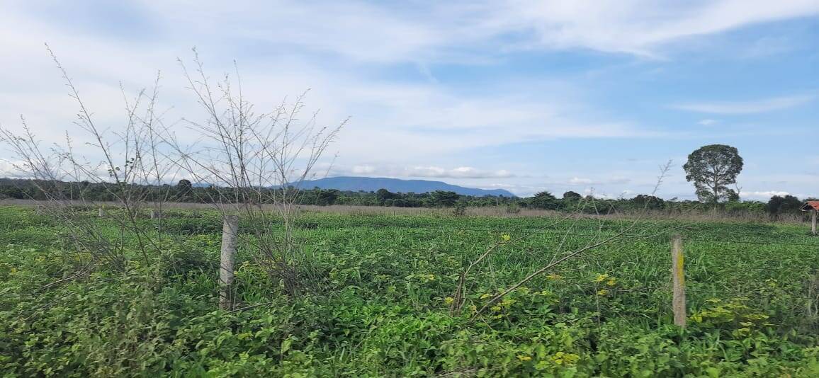 #462 - Fazenda para Venda em Conceição do Tocantins - TO