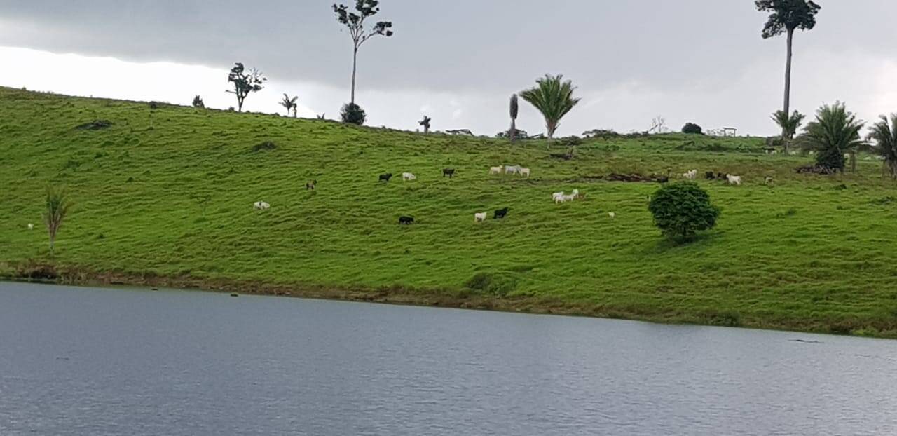 #470 - Fazenda para Venda em Marabá - PA
