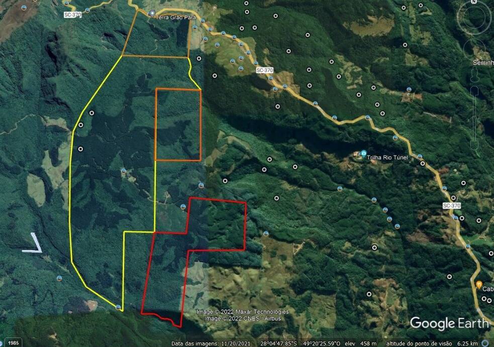 #607 - Floresta de Pinus para Venda em Grão Pará - SC