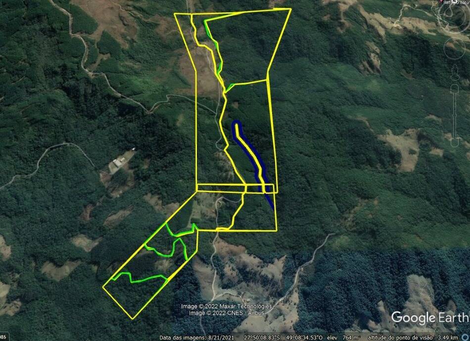 #614 - Floresta de Pinus para Venda em Anitápolis - SC