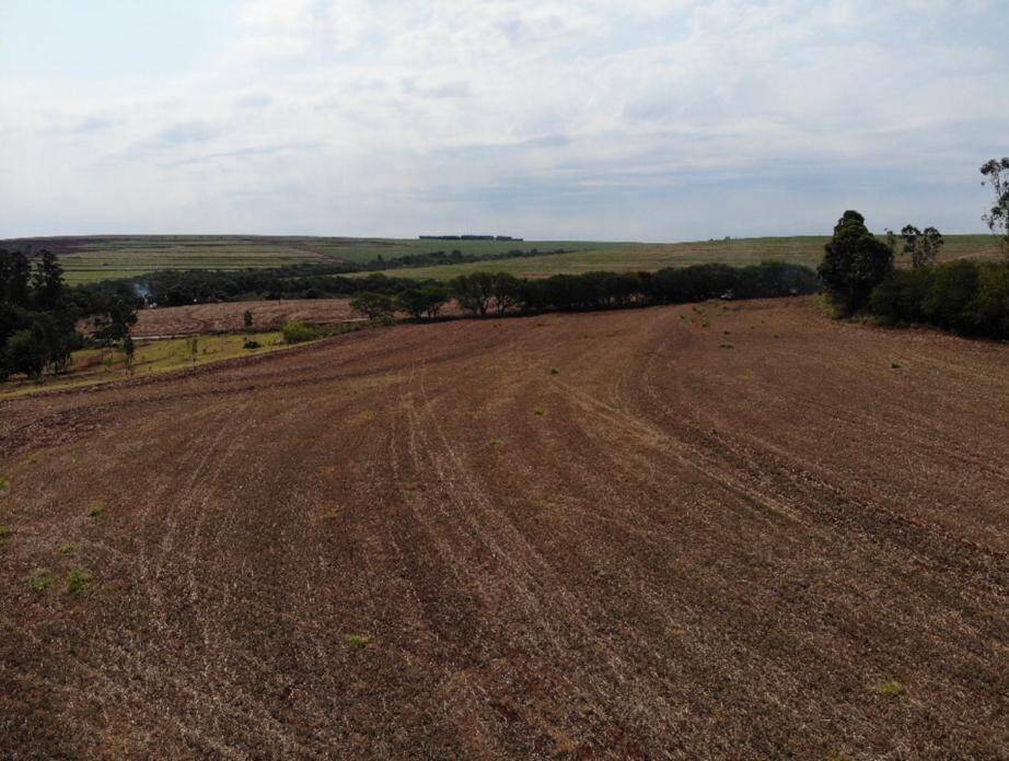 #650 - Chácara para Venda em Iguaraçu - PR