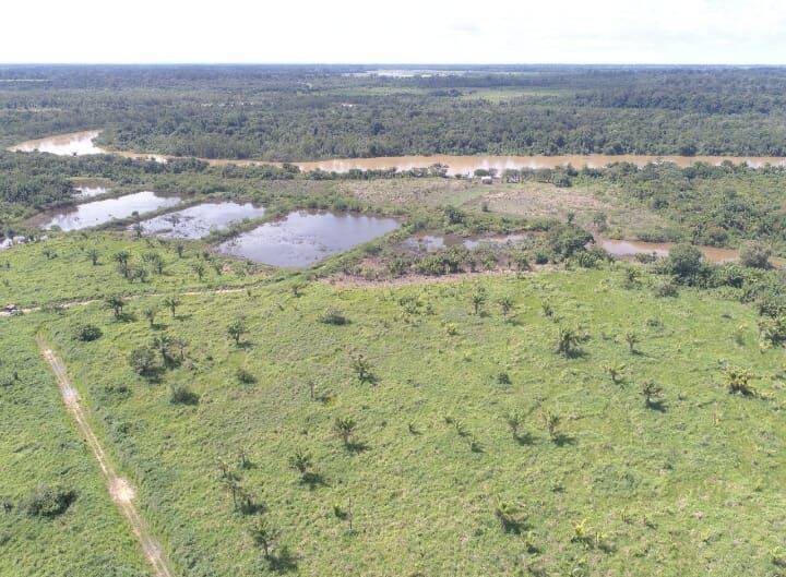 #581 - Fazenda para Venda em Mucajaí - RR