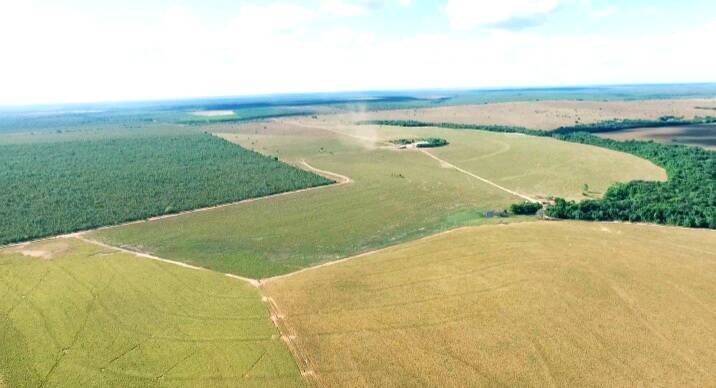 #605 - Fazenda para Venda em Presidente Kennedy - TO