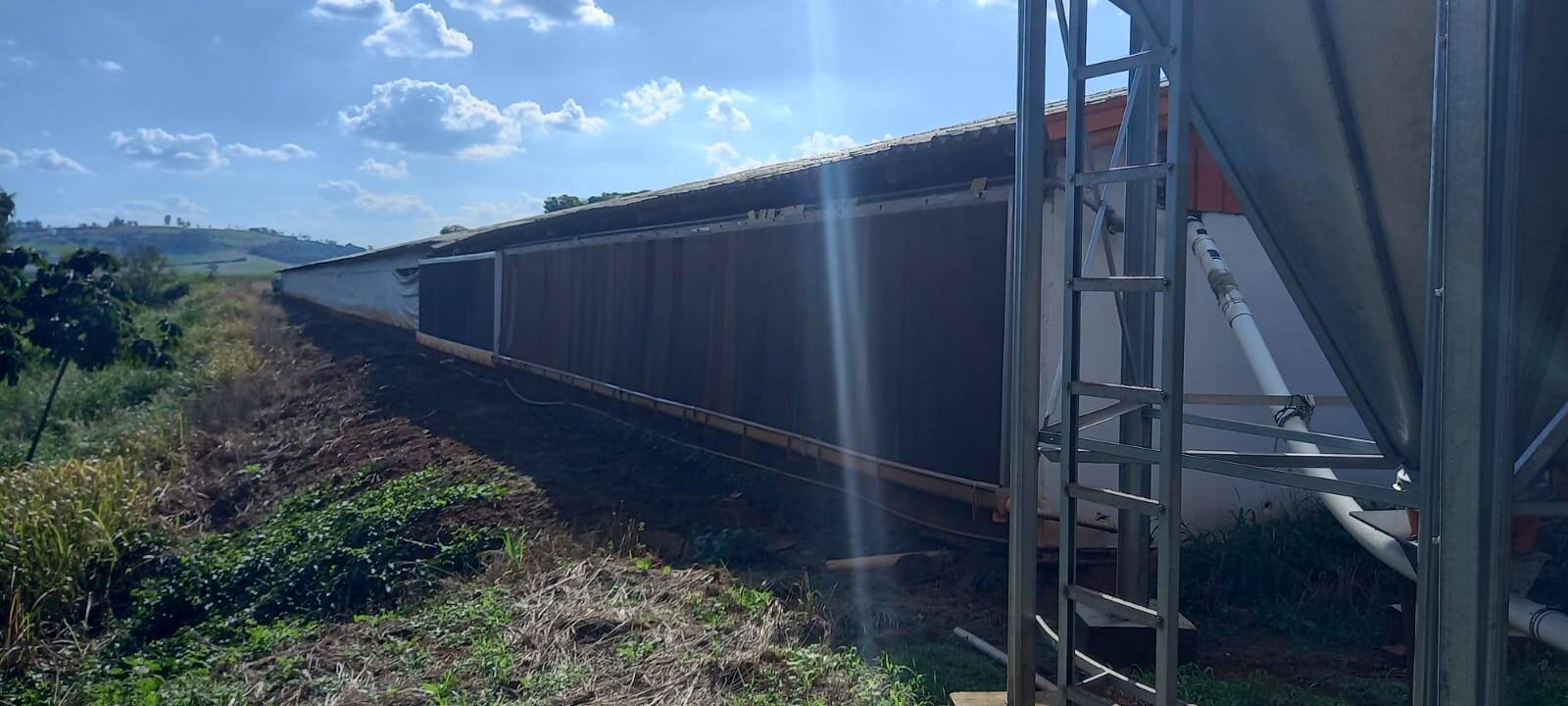 #708 - Granja para Venda em Jandaia do Sul - PR