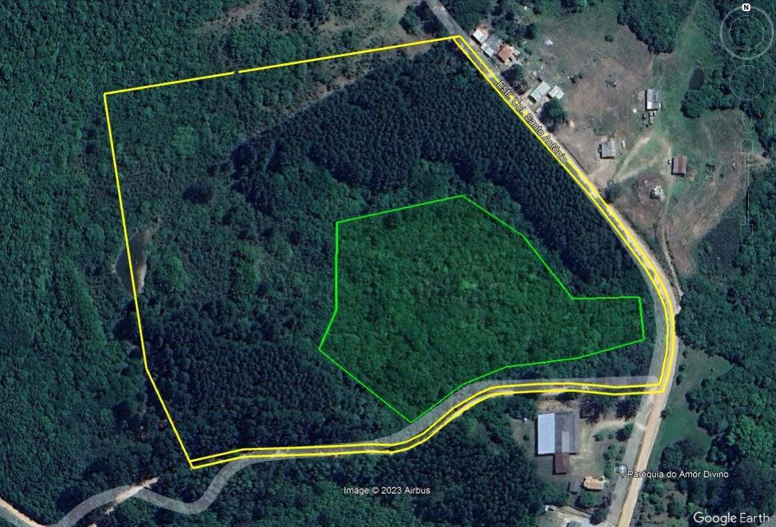 #687 - Floresta Mista - Pinus e Eucalipto para Venda em Pelotas - RS