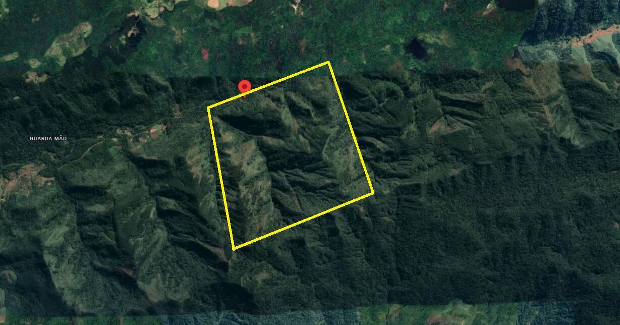 #688 - Floresta de Pinus para Venda em Apiaí - SP