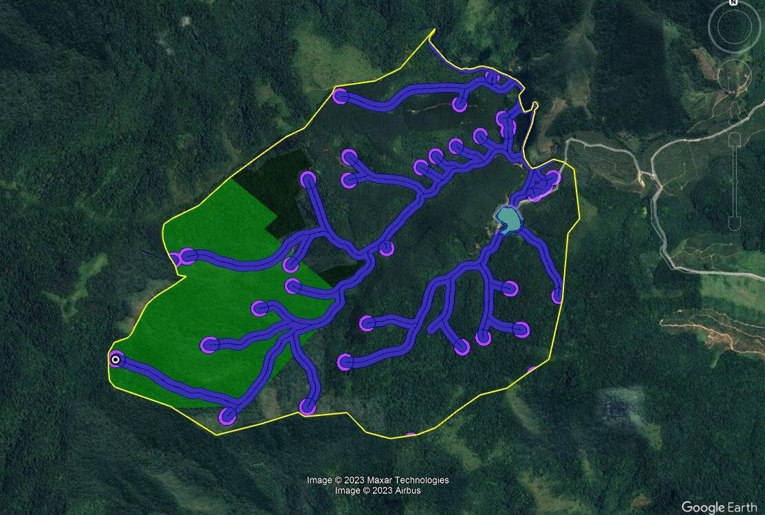#691 - Floresta Mista - Pinus e Eucalipto para Venda em Cajati - SP