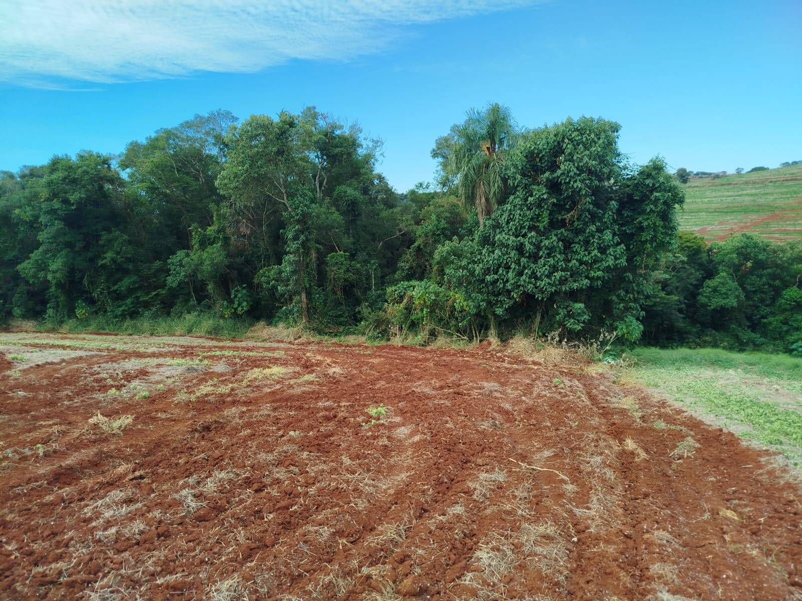 #2675 - Chácara para Venda em Califórnia - PR