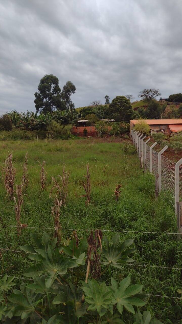 #379 - Chácara para Venda em Cambira - PR