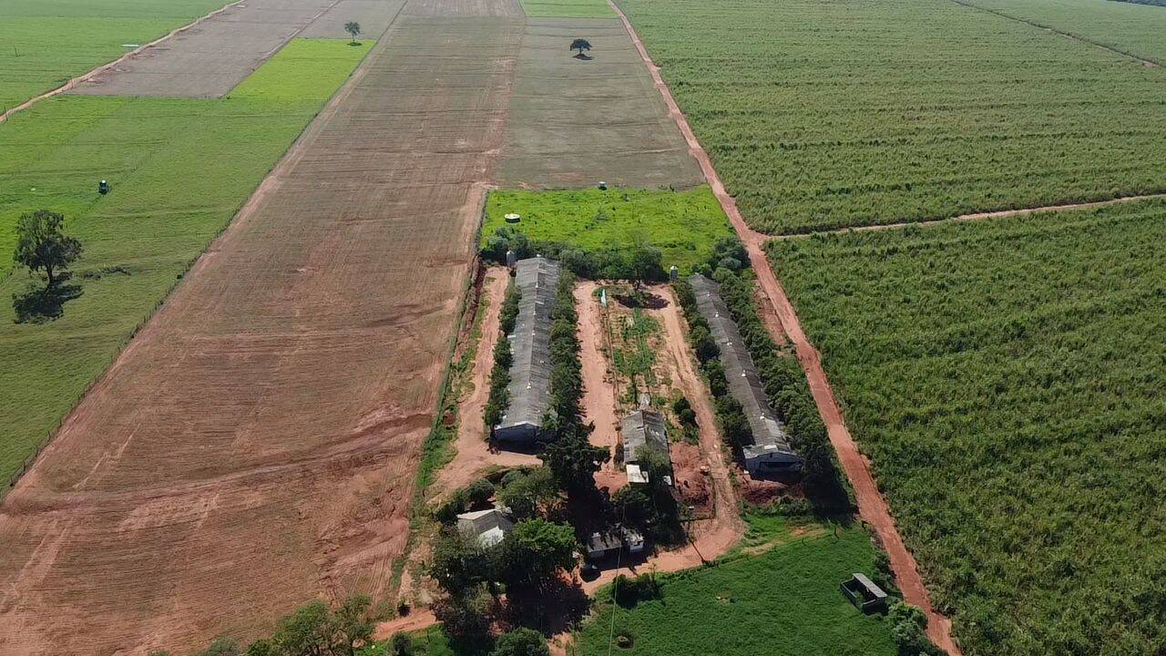 #723 - Granja para Venda em Miraselva - PR