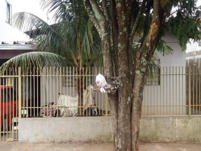 #294 - Conjunto Comercial para Venda em Arapongas - PR - 2