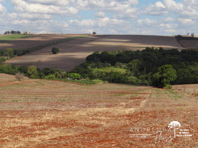 Sítio para Venda em Arapongas - 5