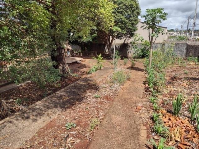 Terreno para Venda em Arapongas - 4