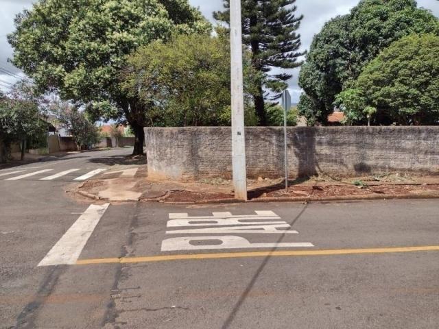 Terreno para Venda em Arapongas - 5