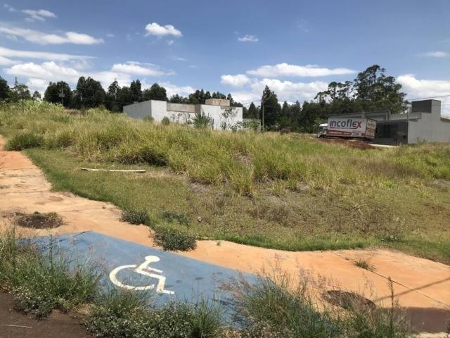 Terreno para Venda em Arapongas - 2