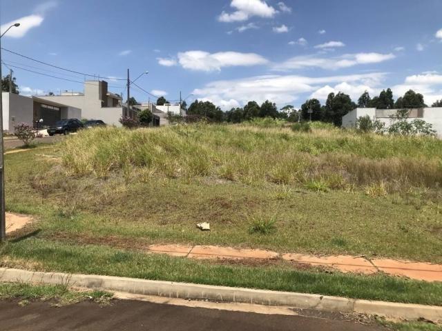 Terreno para Venda em Arapongas - 3