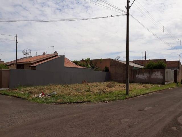 Terreno para Venda em Arapongas - 3