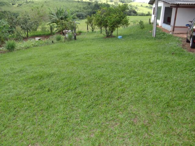 Casa para Venda em Arapongas - 5