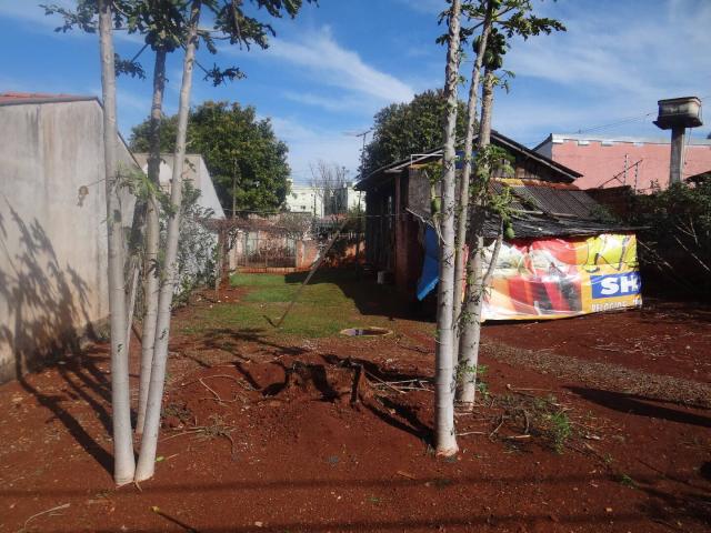 Terreno para Venda em Arapongas - 5