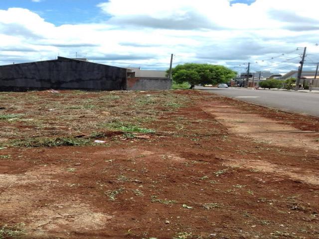 Terreno para Venda em Arapongas - 4