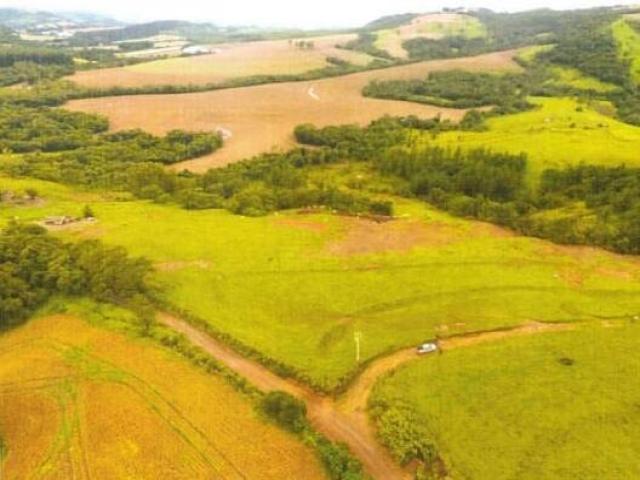 Sítio para Venda em Faxinal - 4