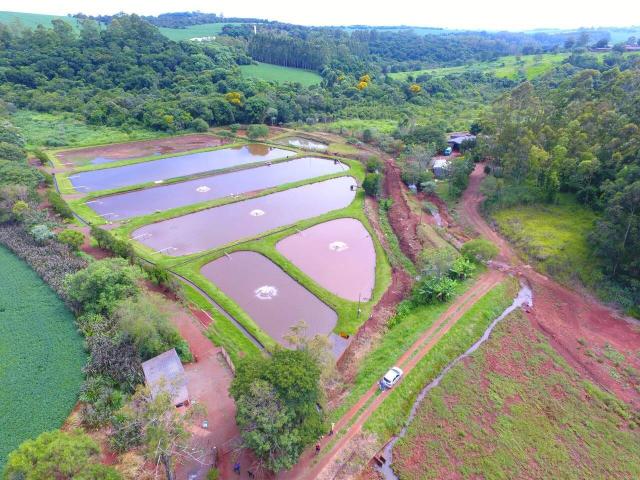 Sítio para Venda em Apucarana - 4