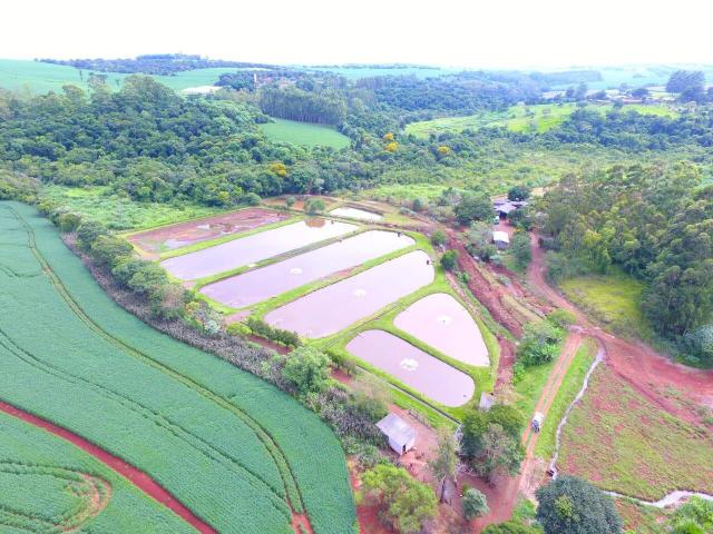 Sítio para Venda em Apucarana - 5