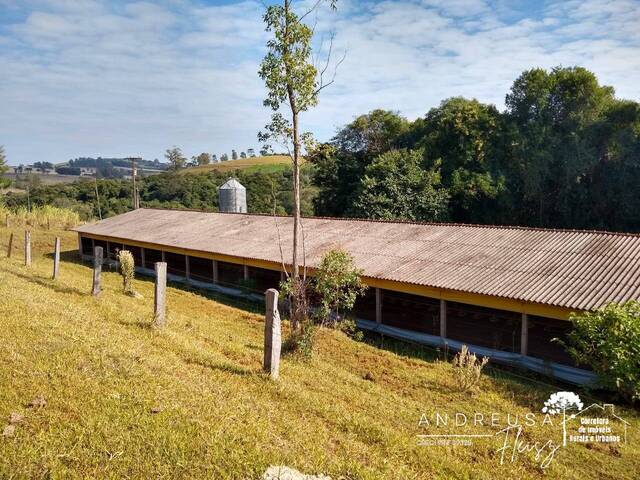 #369 - Fazenda para Venda em Califórnia - PR - 2