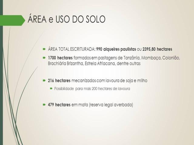 #387 - Fazenda para Venda em Boa Ventura de São Roque - PR - 2
