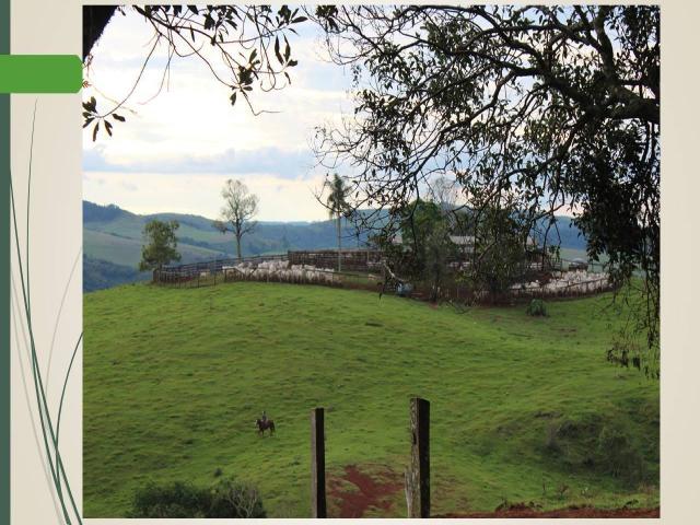 #387 - Fazenda para Venda em Boa Ventura de São Roque - PR - 3