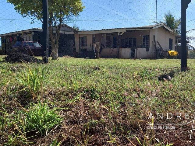 #410 - Granja para Venda em Arapongas - PR - 1