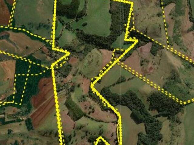 #369 - Fazenda para Venda em Califórnia - PR - 1