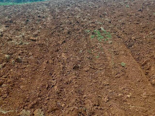 #510 - Fazenda para Venda em Prudentópolis - PR - 3