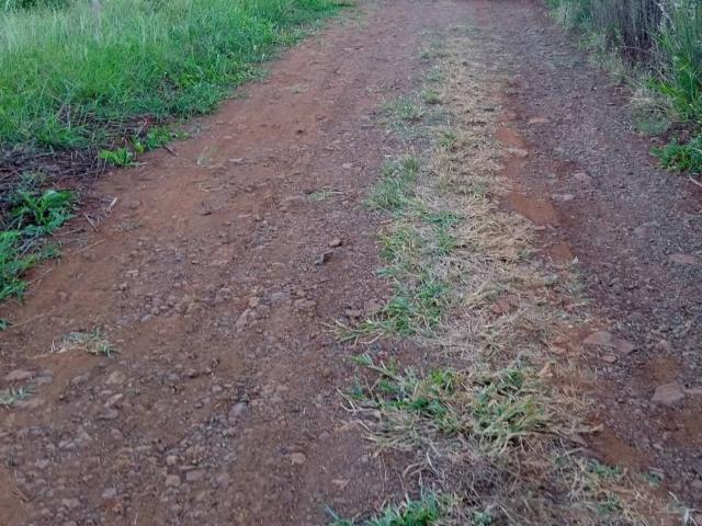 Chácara para Venda em Apucarana - 4