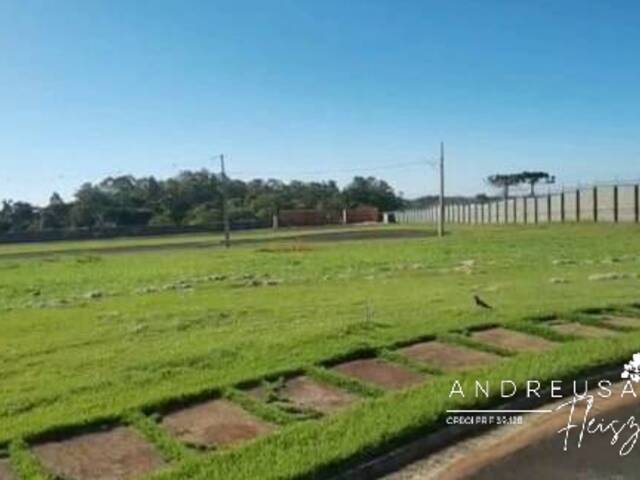 #531 - Terreno em condomínio para Venda em Arapongas - PR - 2
