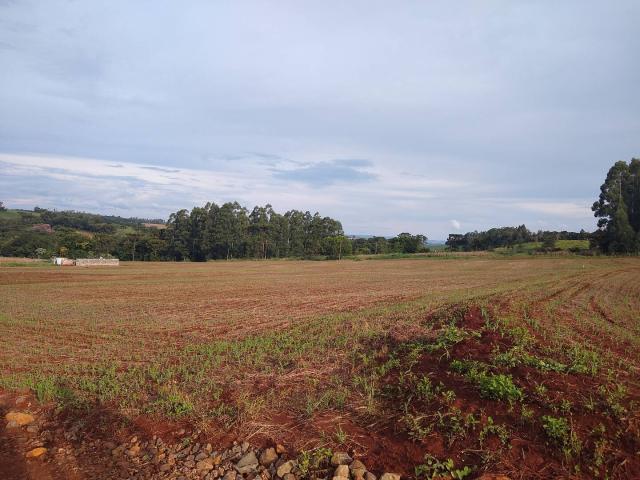 Chácara para Venda em Apucarana - 4