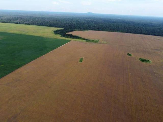 #536 - Fazenda para Venda em Guarantã do Norte - MT - 2