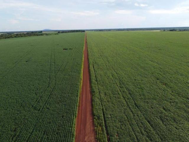 #536 - Fazenda para Venda em Guarantã do Norte - MT - 3
