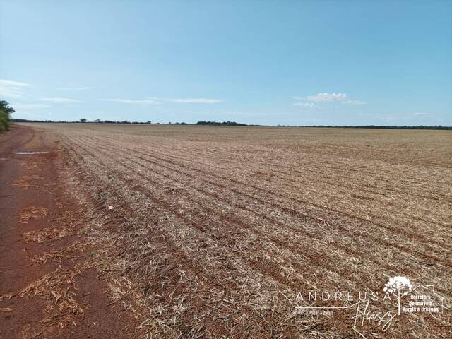 #539 - Fazenda para Venda em Palmas - PR - 3