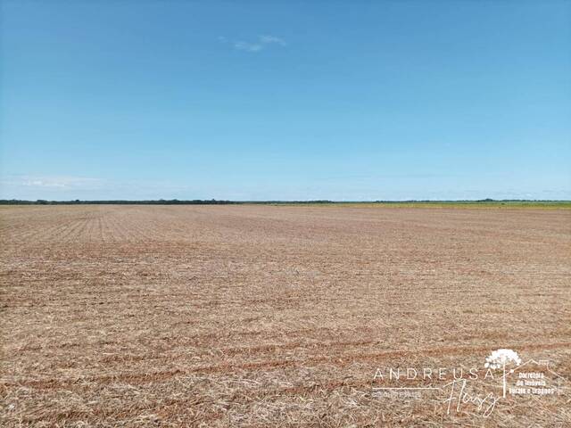 #539 - Fazenda para Venda em Palmas - PR - 2