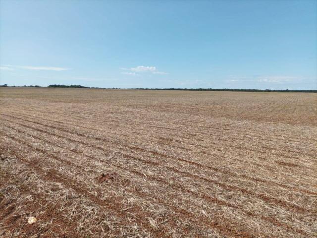 Fazenda para Venda em Palmas - 4