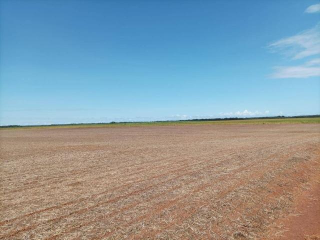 Fazenda para Venda em Palmas - 5