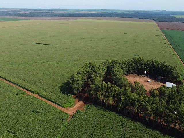 #542 - Fazenda para Venda em Diamantino - MT - 2