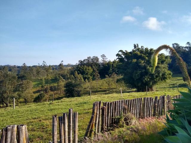 Fazenda para Venda em Apucarana - 5