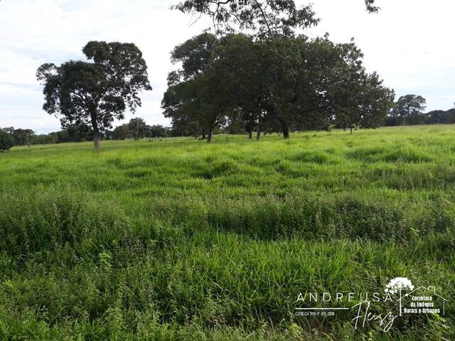 #457 - Fazenda para Venda em Araguaçu - TO - 3