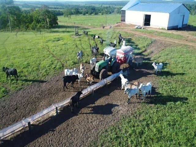 #458 - Fazenda para Venda em Paranatinga - MT - 2