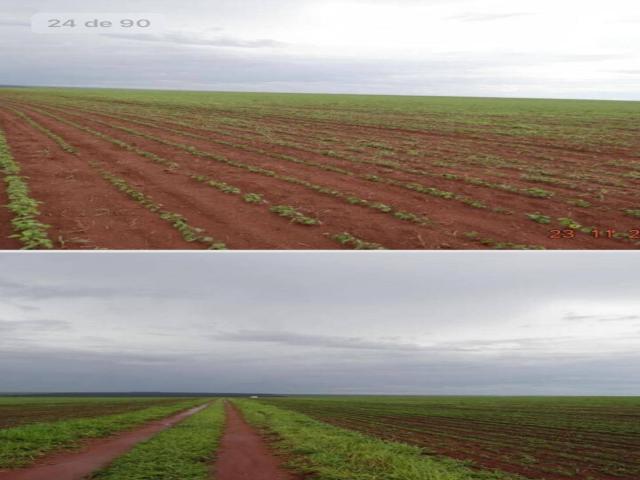 #459 - Fazenda para Venda em Nova Brasilândia - MT - 2